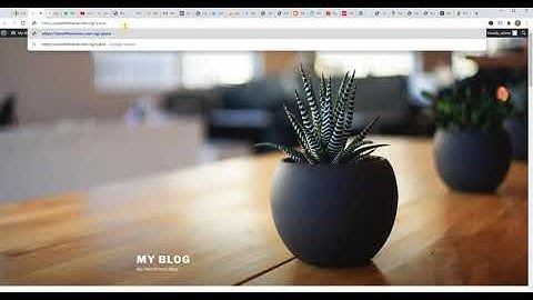 How To Use Caldera Forms