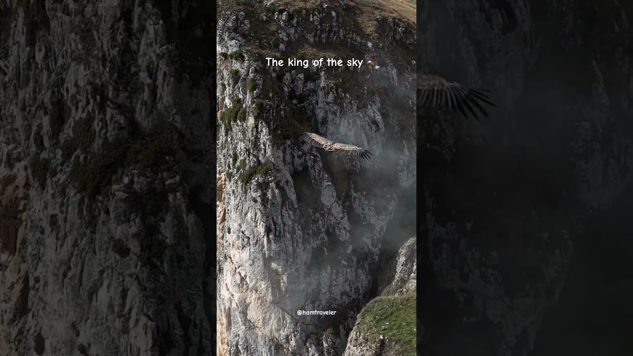 In the Armenian mountains🗻 