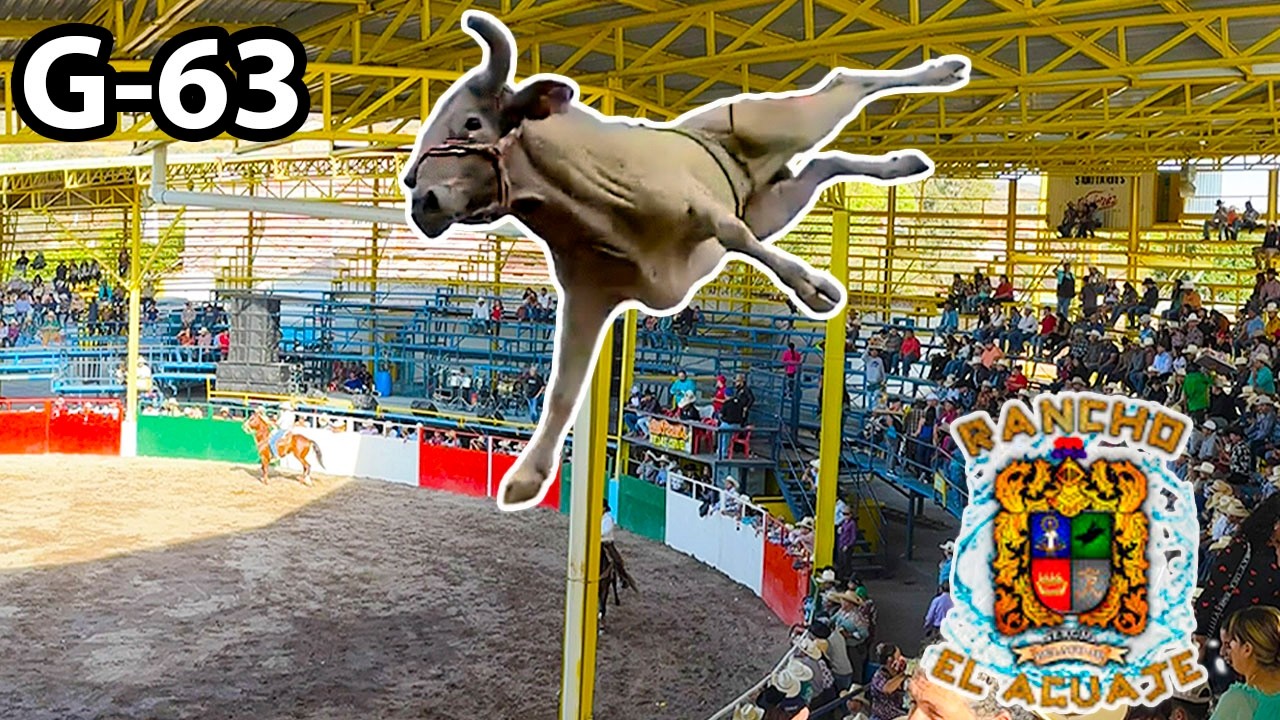 LLEGO EL G-63 Y 17 TOROS DEL AGUAJE DE PELAYO! JARIPEO EN CAÑADA DE CARACHEO GUANAJUATO 08/06/2025