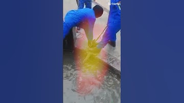 #apmmalaysia #shots #biawak #tqsupport