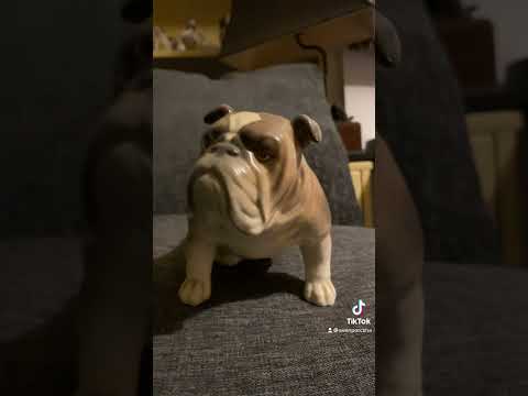 Collectibulldogs