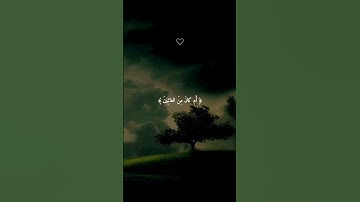 القران الكريم #السعودية #العراق #فلسطين #الامارات #قطر #الجزائر #تونس #المغرب #مصر