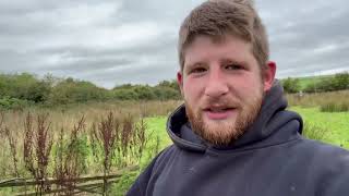 Checking sheep, salvage of wood, and a good chat