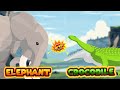 Elephant vs crocodile  elephant vs wild animals level challenge s1  animal animation