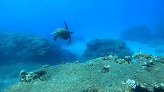 2022 01 le 5 pain de sucre