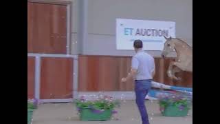 Its Ok? Should I Do It Without The Flashing At The Start? Light Flashing Warning