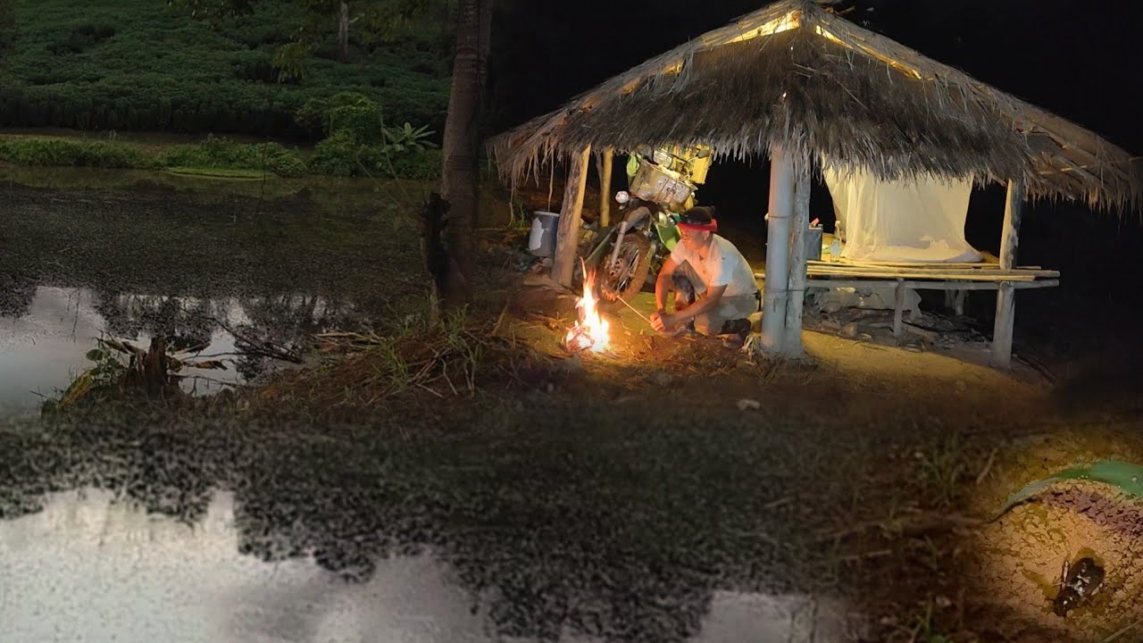 เหลือเชื่อกลับมาปักเบ็ดค้างคืนหมายหนองร้างกลางหุบเขาในคืนฝนตกด้วยเหยื่อครอบจักรวาลจะหมานขนาดนี้