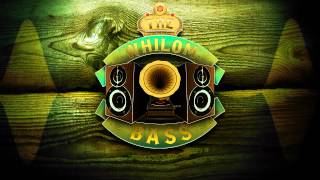 Details OSC - Evolution Update