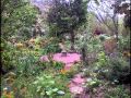Plantas medicinales, medicina natural. Lito Becerra, desde Cusco, Perú. Falta Envido 16