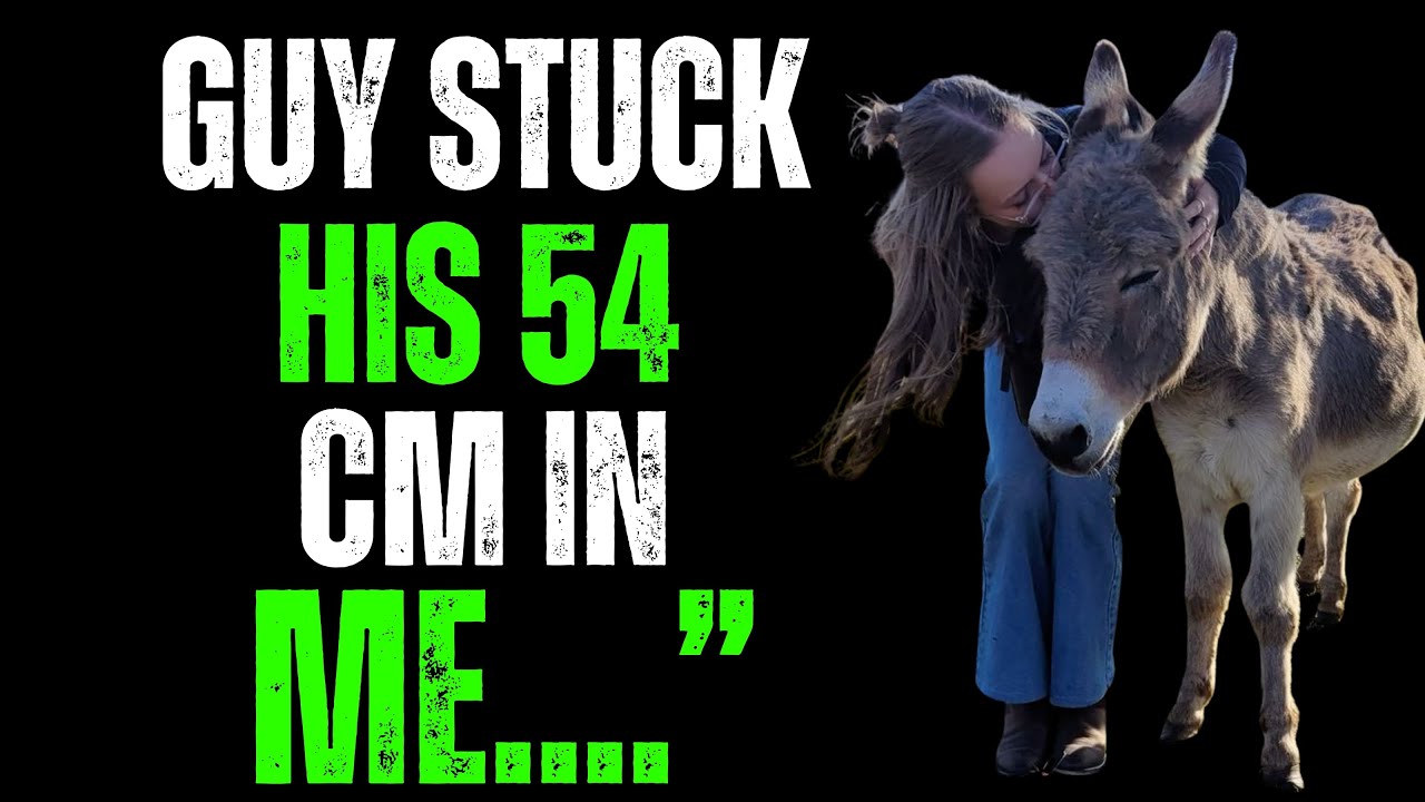 No One Believed I’d Travel With My Donkey—Until This Journey Changed Everything | Heartwarming Story