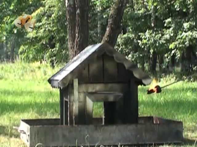 Галилео. Огнезащитная обработка.