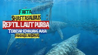 Fakta Shastasaurus Reptil Laut Raksasa Terbesar Sepanjang Masa