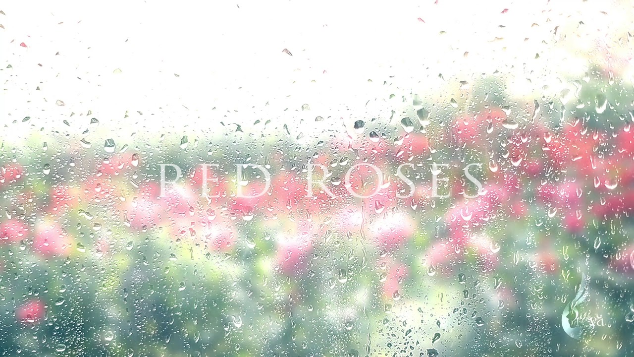 Danny Rayel - Red Roses (Emotional Piano)