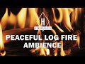 Cosy  hygge ambience  log burning fireplace for relaxing deep focus  studying no music hygge