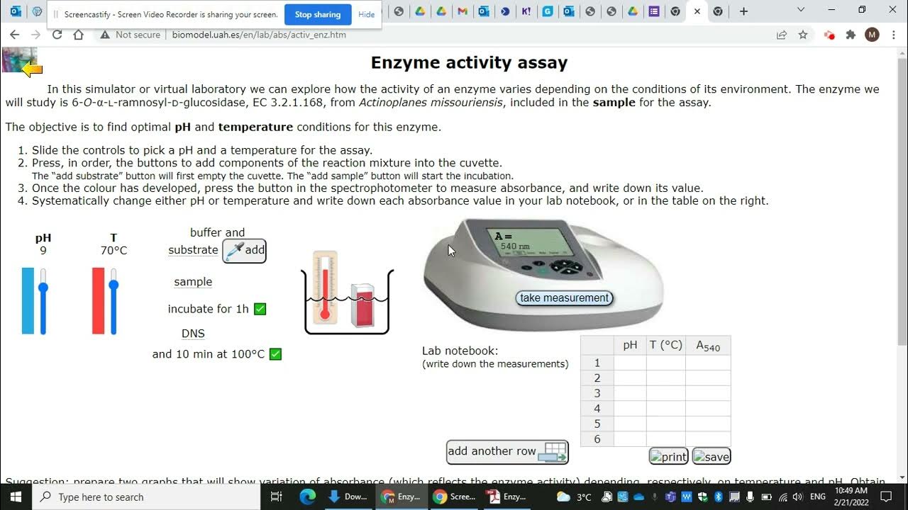 enzyme virtual lab instructions part 1 YouTube