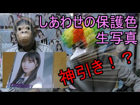 【乃木坂46】25thシングル　しあわせの保護色 生写真開封！！