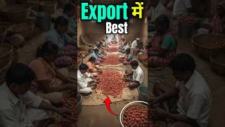 Litchi Powder Export From India | Litchi Powder Business 📦 | Rajeeev Saini #shorts