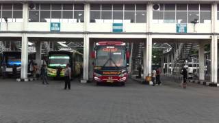 Download Lagu Klakson Dim dari Sugeng rahayu golden star di Purabaya MP3