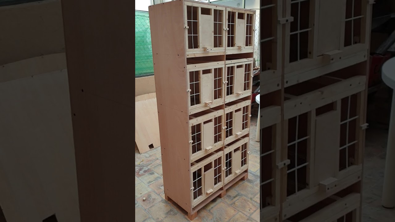 Cajones para palomos (buchonera) YouTube