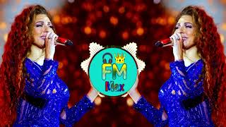 New Arabic Remix || Tiktok viral  ریمیکس 2024 ||  (Slowed+Reverb ) New Song 2024 #newarbisong