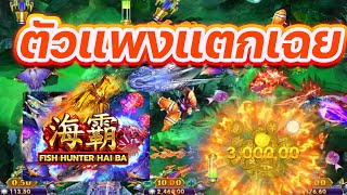 Fish Haiba ยิงได้ตัวแพงผมก็เลิกแล้วเบท10เอาไรมาก screenshot 1