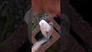 Destroying Magic Mouse
