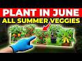 Plant These in June! 15 Heat-Tolerant Vegetables That Thrive All Summer