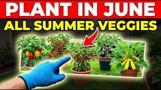 Plant These in June! 15 Heat-Tolerant Vegetables That Thrive All Summer