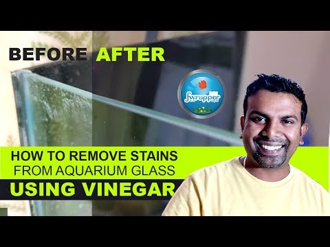 HOW TO REMOVE STAINS FROM AQUARIUM GLASS USING VINEGAR