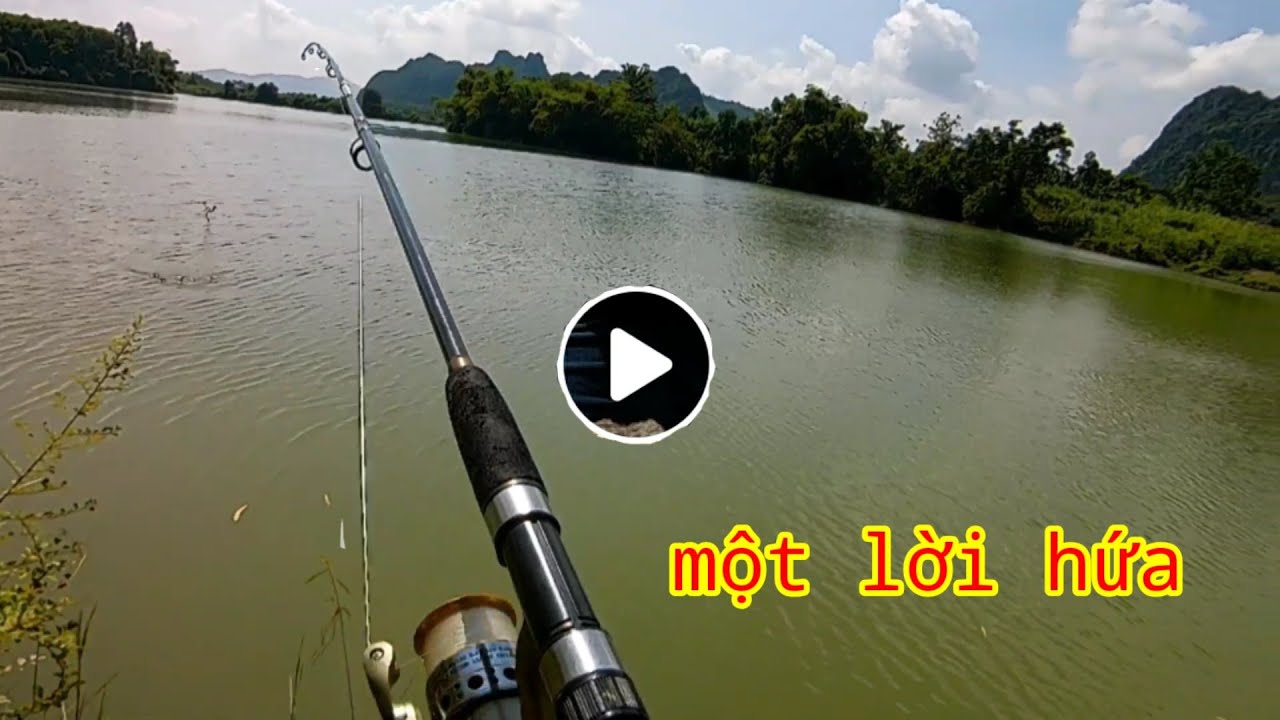 Câu Cá , Câu Lăng Xê Vào Ngày Mưa, Một Túi Cá Trôi Đỏ - youtube