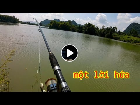 Video Câu Cá , Câu Lăng Xê Vào Ngày Mưa, Một Túi Cá Trôi Đỏ - youtube