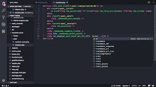 Introduction  Metadata & Custom Fields I Metadata,  Bundling Plugins I Premium WordPress Themes 2021