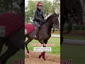 Fascinating technological advances in horse care #horse #horserace #horseracing #technology