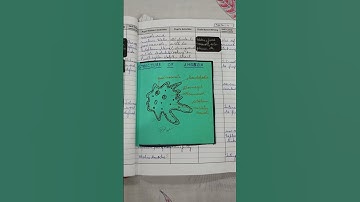 Micro teaching lesson plan -2 life science 📒Skill of Explanation 🖋️#B.Ed