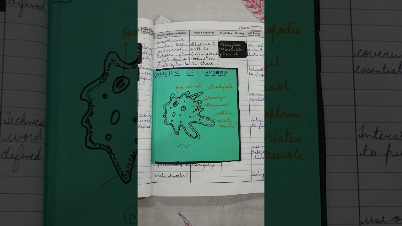 Micro teaching lesson plan -2 life science 📒Skill of Explanation 🖋️