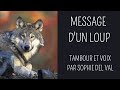 Hypnose chamanique  message dun loup
