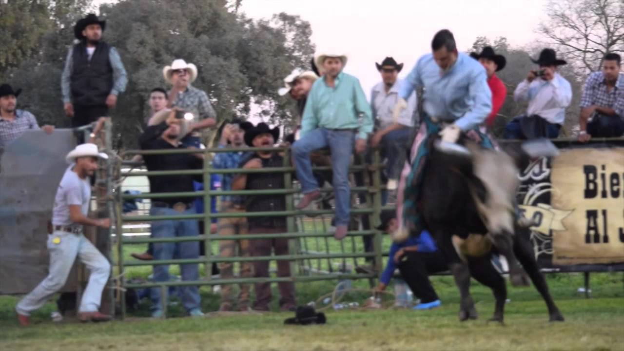 SUPER JARIPEO BAILE DOMINGO 26 DE ABRIL CLUB LATINO DE CUTLER YouTube