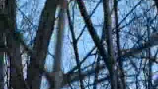 David Wolfe - Raw Food Expert - Eagles Video