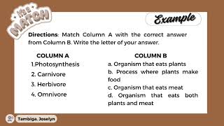 MATCHING TYPE TEST. - GROUP 3