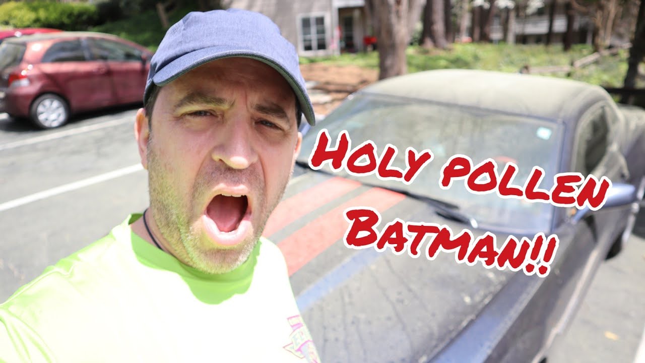 Atlanta Pollen Is Out In Force YouTube