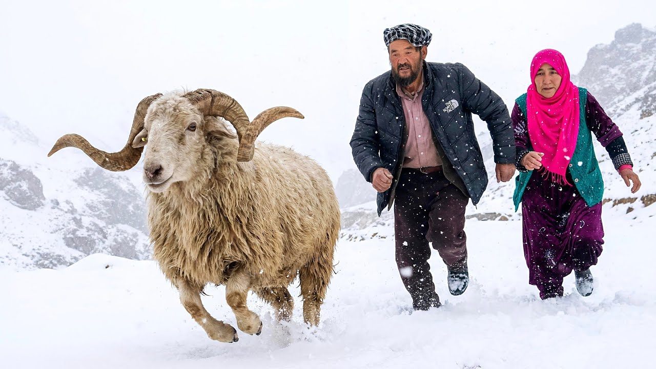 Extreme Winter Survival in the Mountains | Elderly Couple Fighting Cold & Hunger