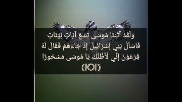 القرآن الكريم سورة الإسراء صفحة 292