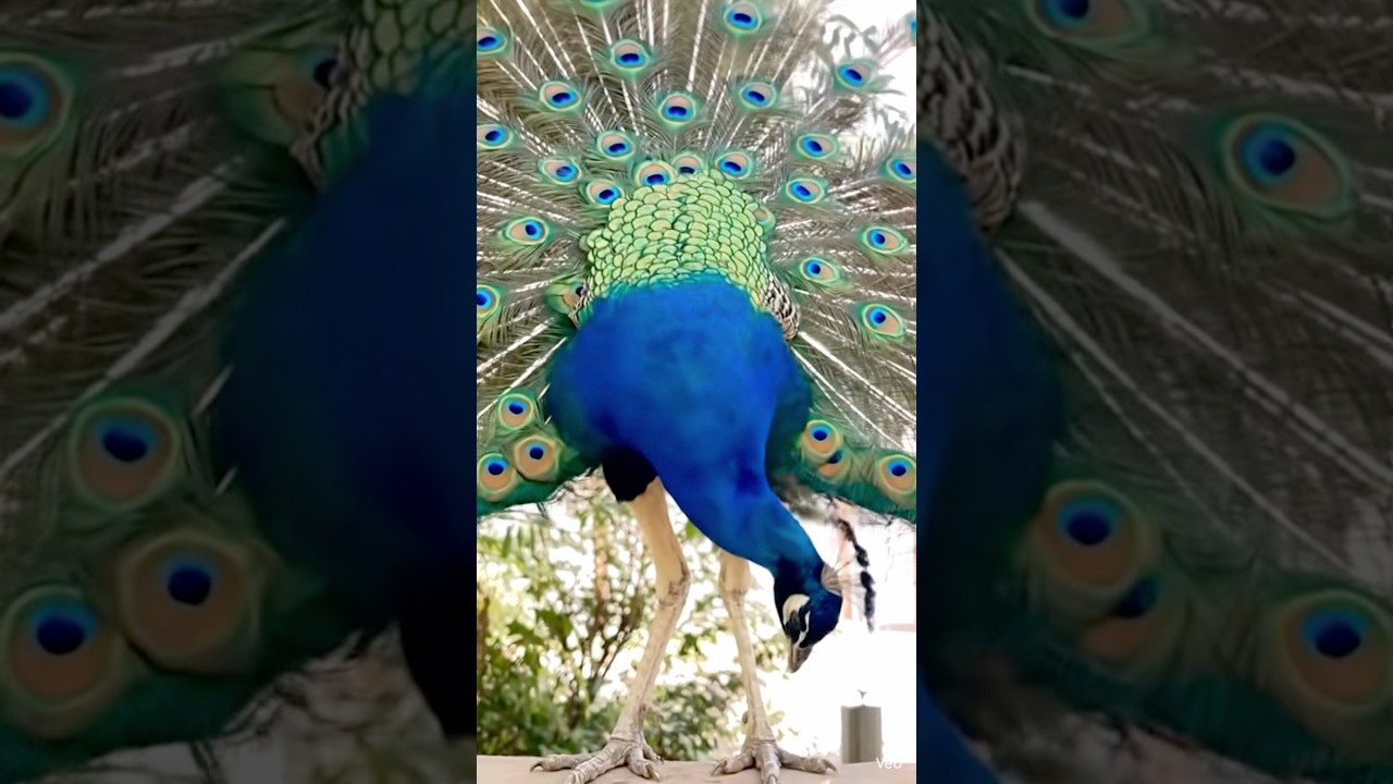 When nature knows you, it dances just for you