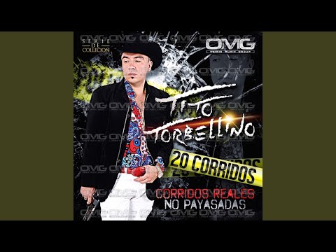 Tito Torbellino - Pedron Antraxx