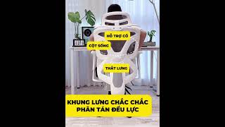 Ghế Công Thái Học Fufutech FEC01