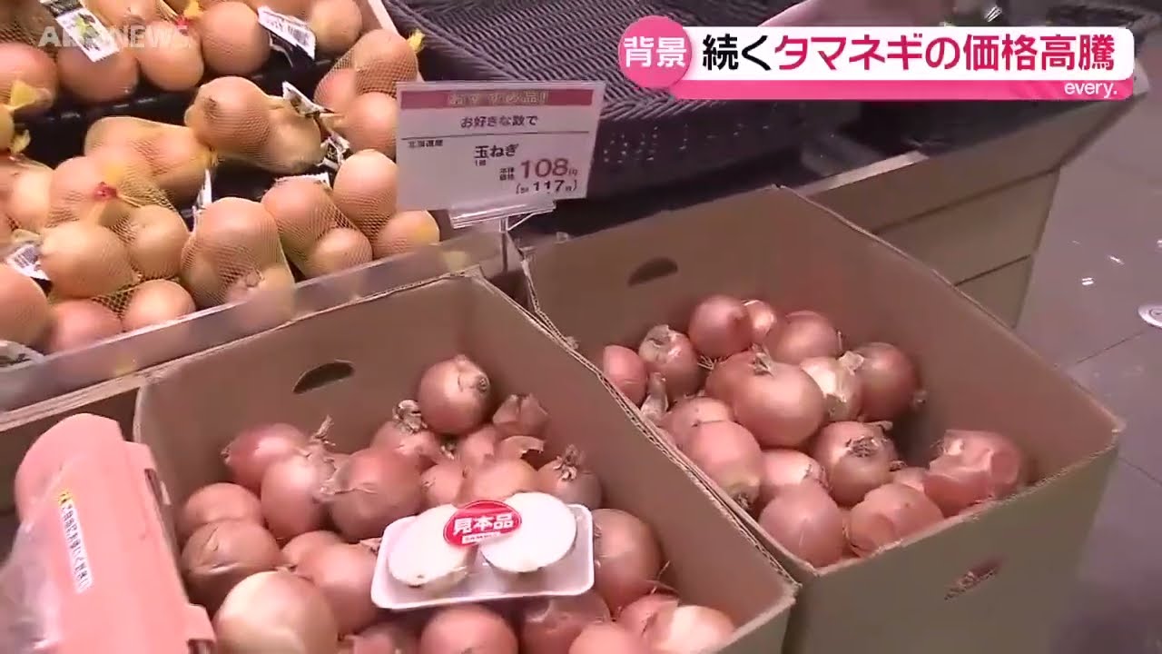 タマネギが高い！価格高騰で現場に悲鳴 - YouTube