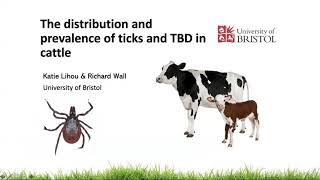 The distribution and prevalence of ticks and TBD in cattle