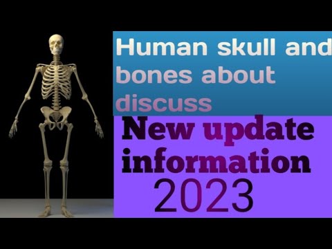Human body bone details, How many bones are there in the human body ...