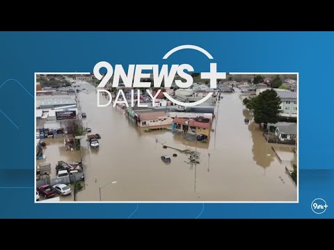 Wideo: Czy w magaliach pada śnieg?