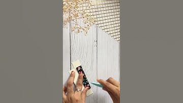 Tote bag with acetate sheet #craftideas #crafting #craft #totebag #totebagblacu